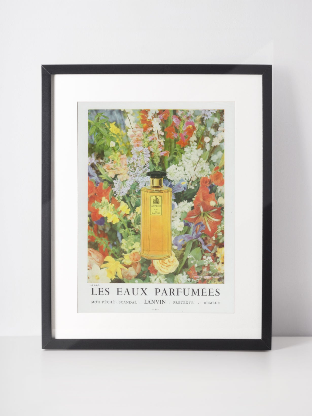 LANVIN 1959 Vintage Advertisement 1950s Perfume Print Ad Fragrance Parfum