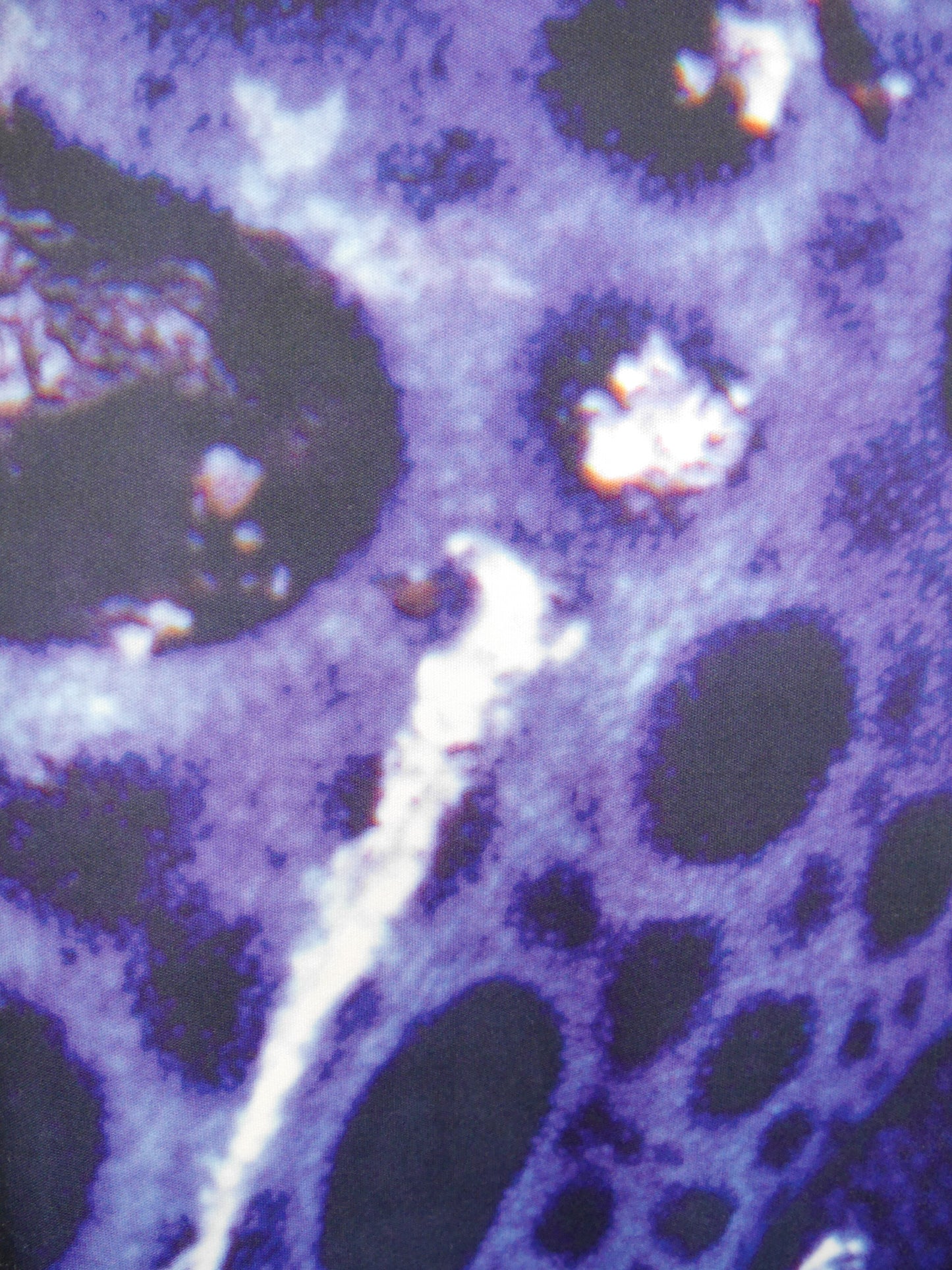 W< Walter van Beirendonck Spring 1999 Vintage Frog Print Maxi Dress Size M