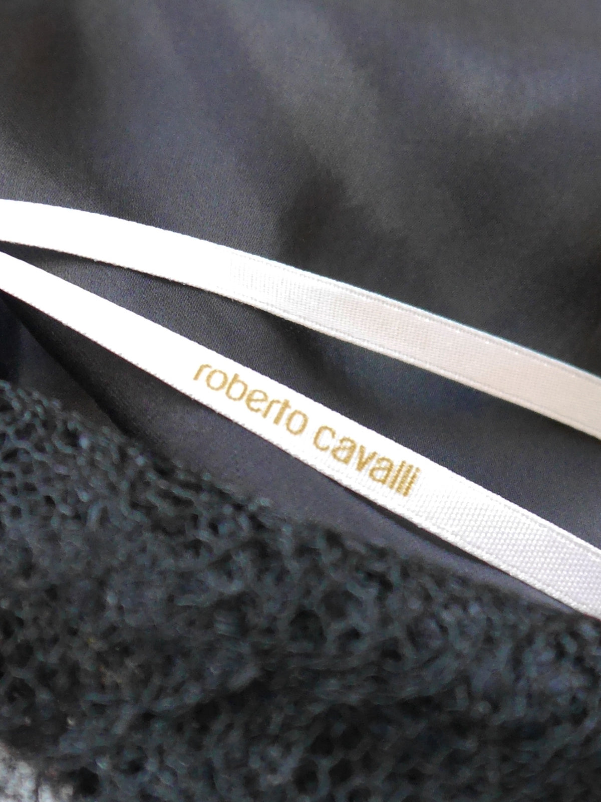 ROBERTO CAVALLI 2000s Vintage Backless Animal Print Silk Lace Evening Gown