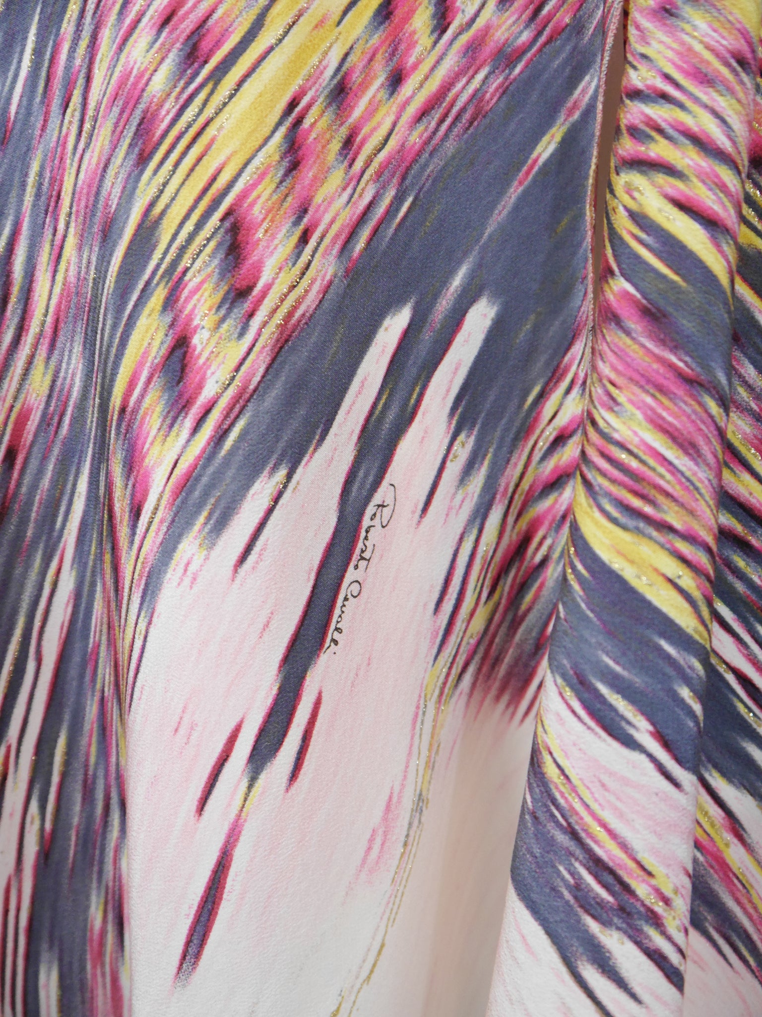 ROBERTO CAVALLI Spring 2004 Vintage Feather Print Silk Corset Dress